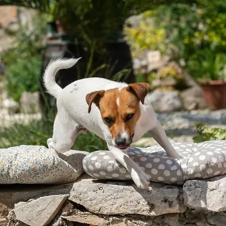 Mario Appartamento *