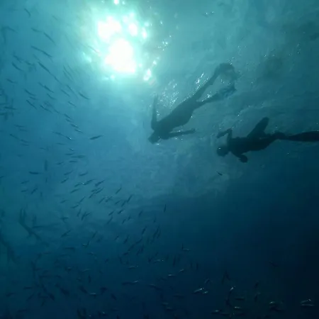 Appartamento Mario *