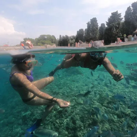 Appartamento Mario Pola