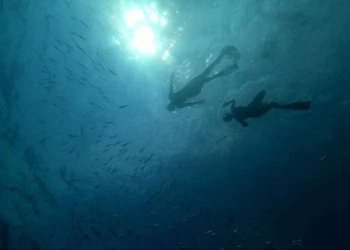 Διαμέρισμα Mario *