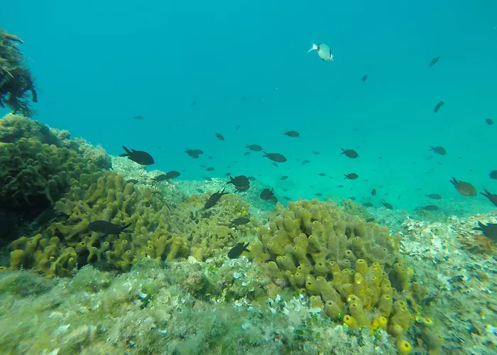 Mario 아파트 풀라